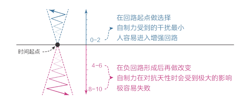 image-20240219094647692